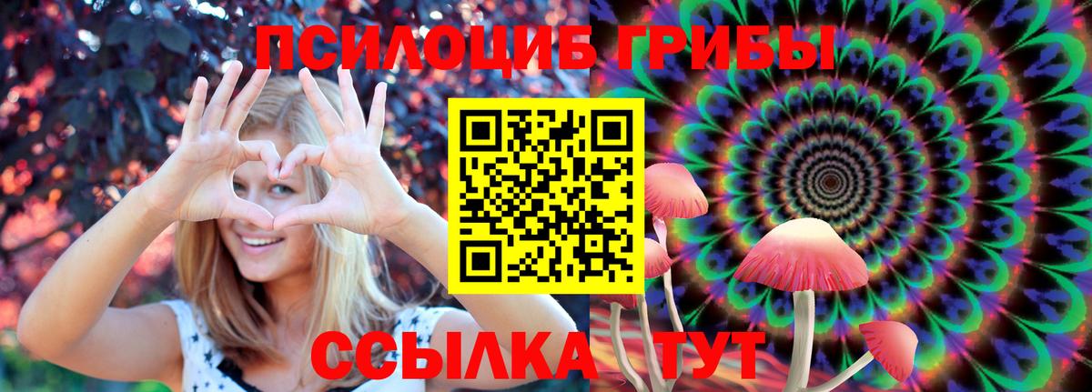 Алатырь  где продают наркотики  Вход с VPN  Псилоцибиновые грибы MAGIC MUSHROOMS 
